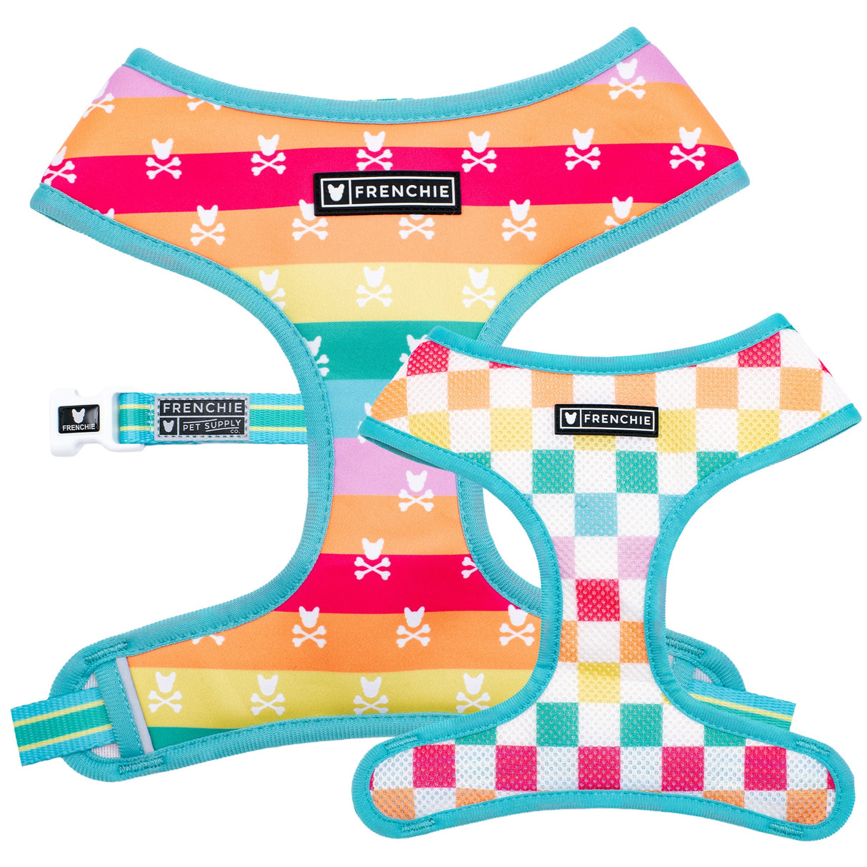 Frenchie Duo Reversible Harness - Rainbow Bad to the Bone from Frenchie Bulldog