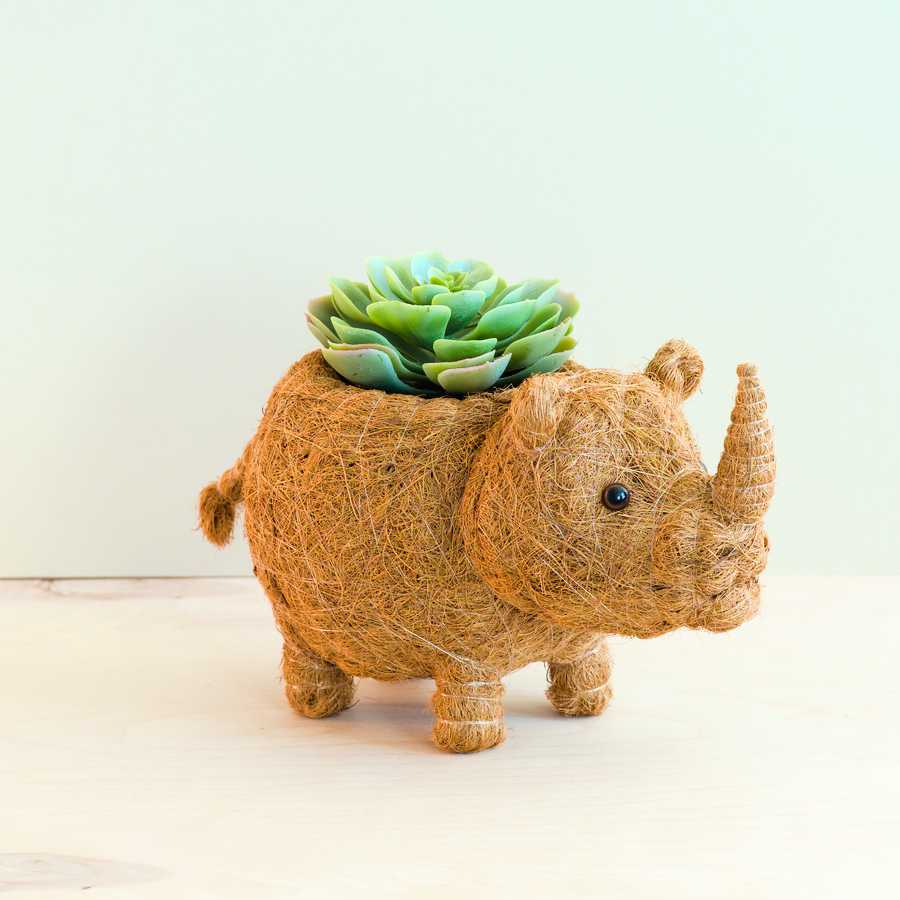 Rhino Planter - Coco Coir Pot | From LIKHÂ
