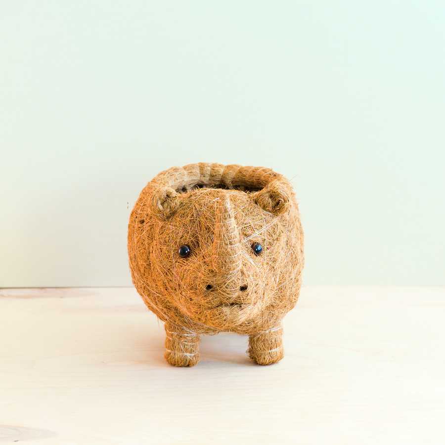 Rhino Planter - Coco Coir Pot | From LIKHÂ