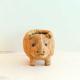 Rhino Planter - Coco Coir Pot | From LIKHÂ