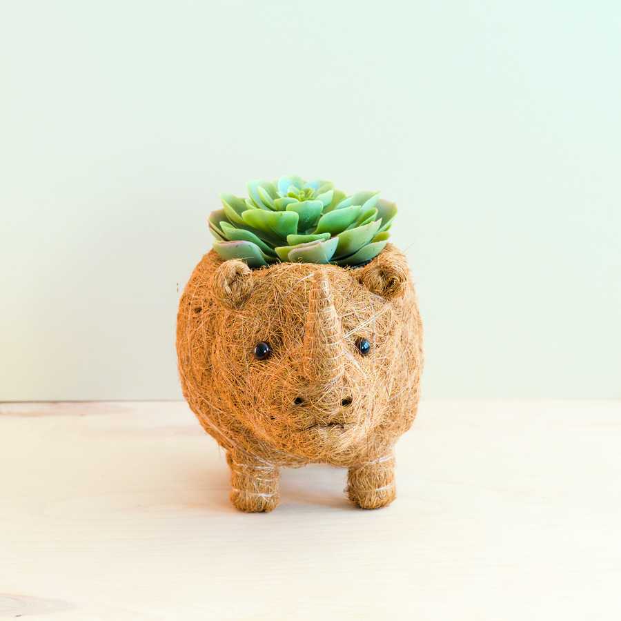 Rhino Planter - Coco Coir Pot | From LIKHÂ
