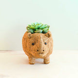 Rhino Planter - Coco Coir Pot | From LIKHÂ