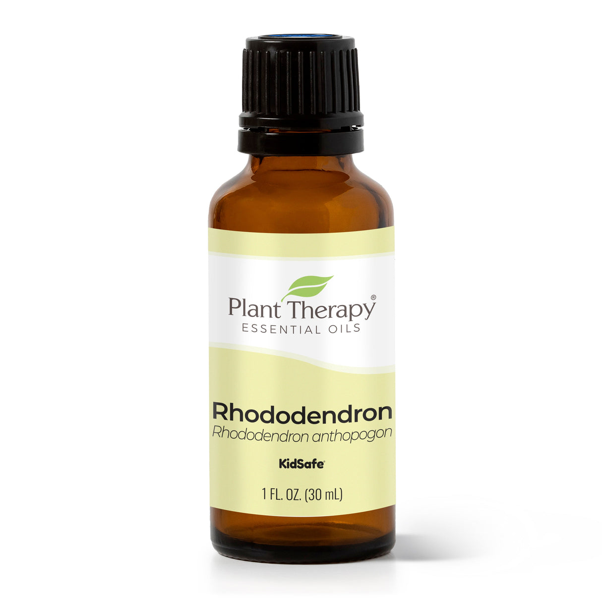 Rhododendron Essential Oil from Plant Therapy