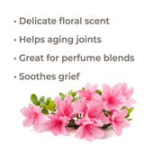 Rhododendron Essential Oil from Plant Therapy