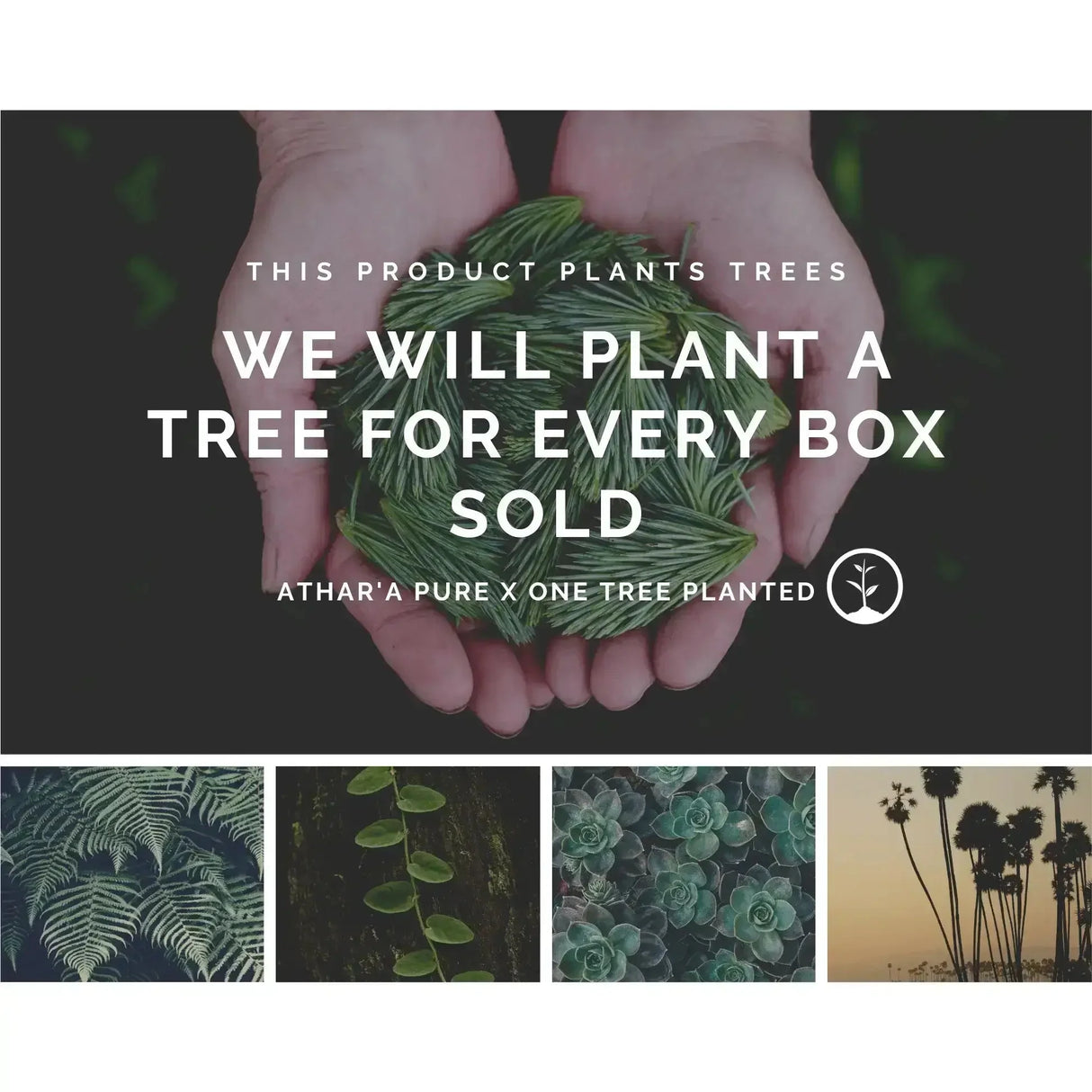 Ritual Essentials Box Set From Athar'a Pure