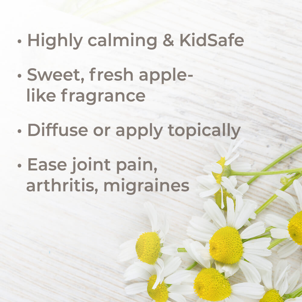 Organic Roman Chamomile Essential Oil from Plant Therapy