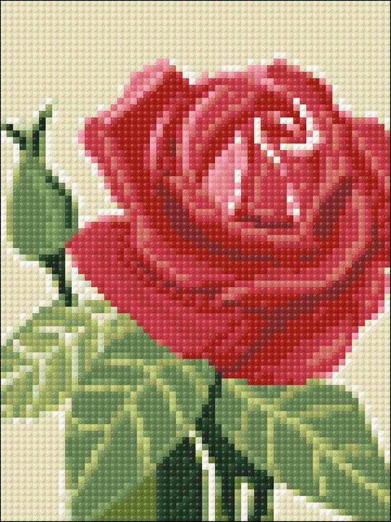 Rose CS305 5.9 x 7.9 inches Crafting Spark Diamond Painting Kit from Wizardi