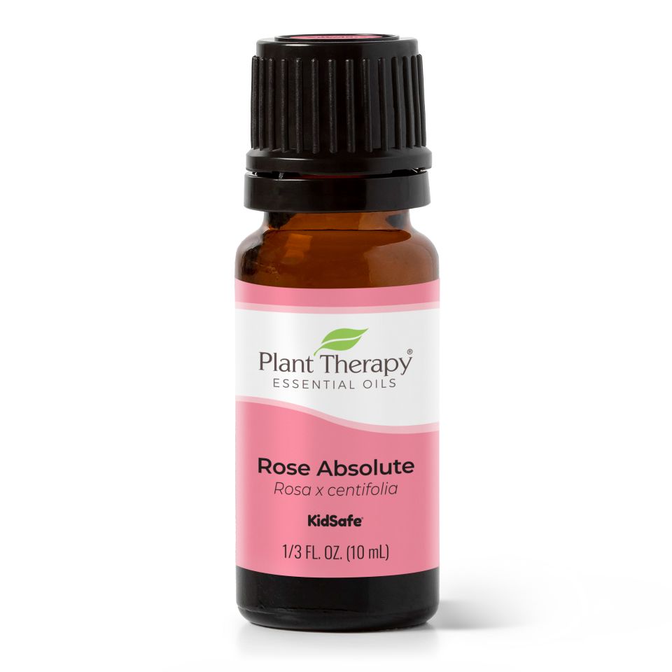 Rose Absolute Essential Oil from Plant Therapy