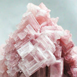 Rose Quartz from Wicked Good Perfume