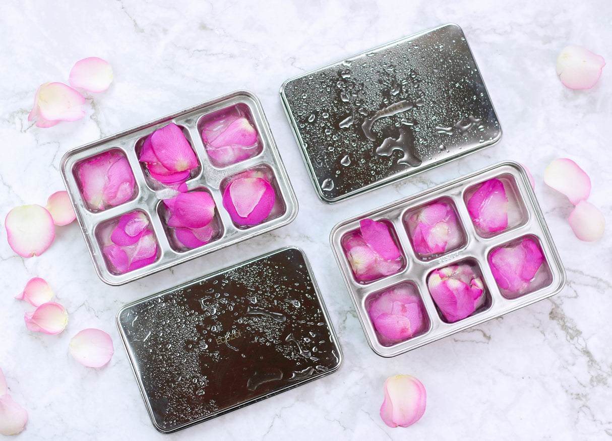 STAINLESS STEEL ICE CUBE TRAYS, 12 Large Cubes, 2 PACK from ecozoi