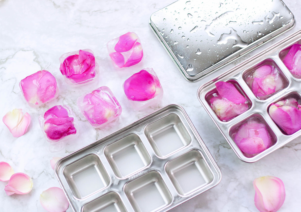 STAINLESS STEEL ICE CUBE TRAYS, 12 Large Cubes, 2 PACK from ecozoi