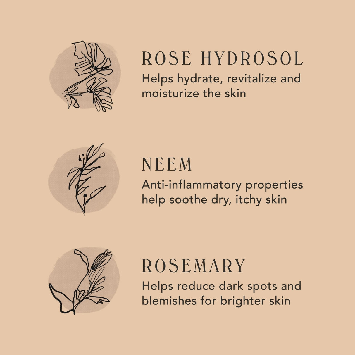 ROSEWATER CREAM | Radiance Enhancing Moisturizer from M.S. Skincare