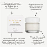 ROSEWATER CREAM | Radiance Enhancing Moisturizer from M.S. Skincare