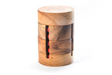 Cylinder Spin - Brain  from Kubiya Games