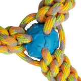 Fling 'N Fun from Health Extension