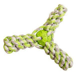 Fling 'N Fun from Health Extension