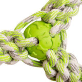 Fling 'N Fun from Health Extension