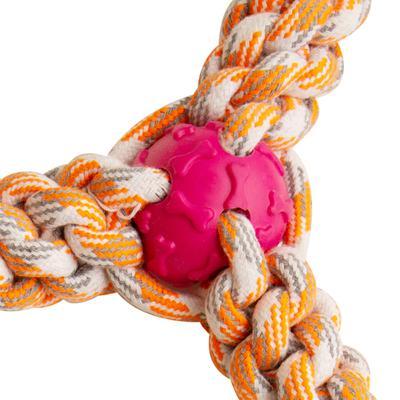 Fling 'N Fun from Health Extension