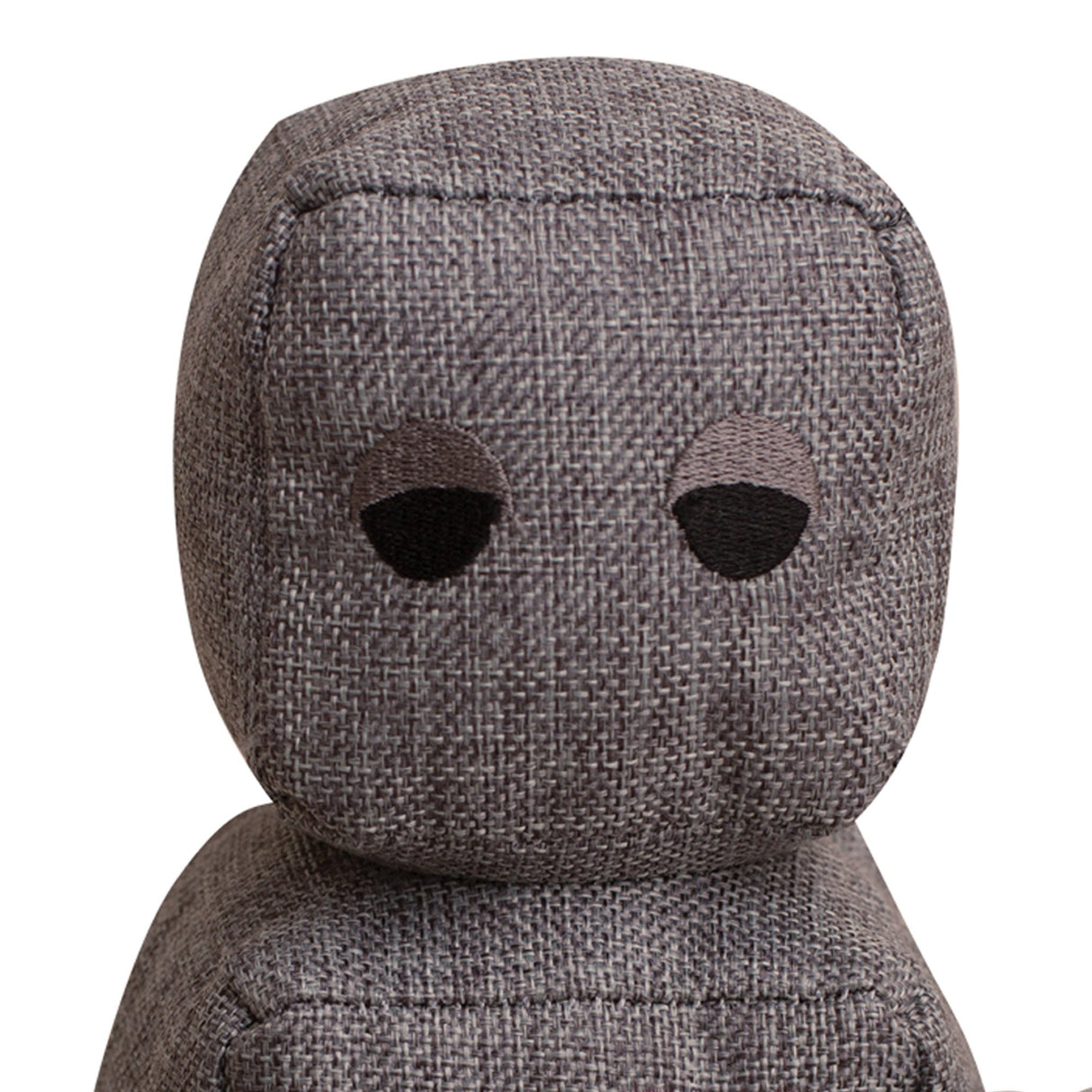 Ryder the Robot from Health Extension