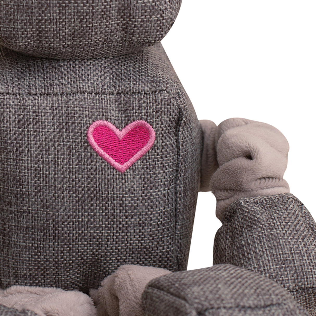 Ryder the Robot from Health Extension