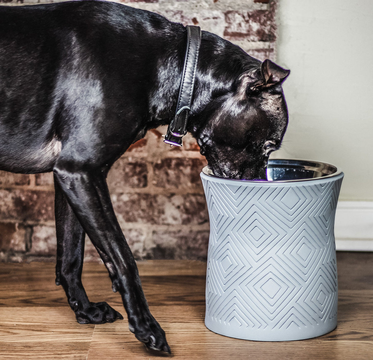 Santa Fe Modern Elevated Dog Bowl from Pet Junkie