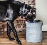 Santa Fe Modern Elevated Dog Bowl from Pet Junkie