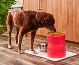 Santa Fe Modern Elevated Dog Bowl from Pet Junkie