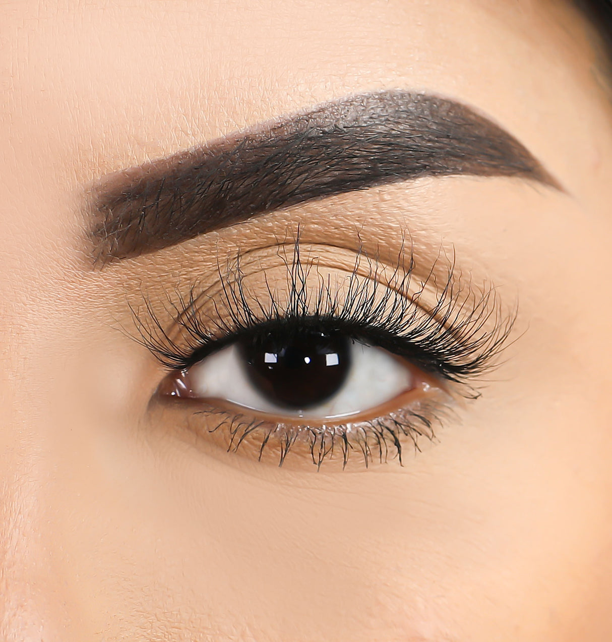 3D Mink Eyelashes - Scorpio from False Eyelashes