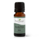 Scott's Pine Essential Oil from Plant Therapy