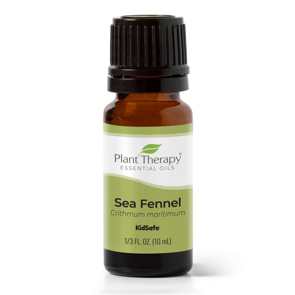 Sea Fennel Essential Oil from Plant Therapy