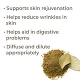 Sea Fennel Essential Oil from Plant Therapy