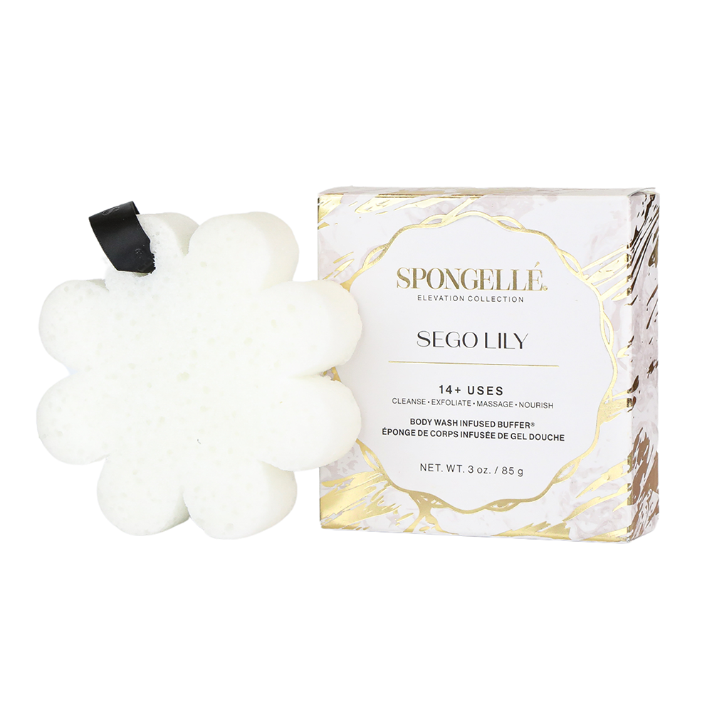 Sego Lily | Elevation Boxed Flower from Spongellé
