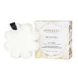 Sego Lily | Elevation Boxed Flower from Spongellé