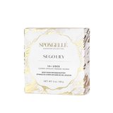 Sego Lily | Elevation Boxed Flower from Spongellé