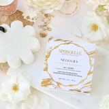 Sego Lily | Elevation Boxed Flower from Spongellé