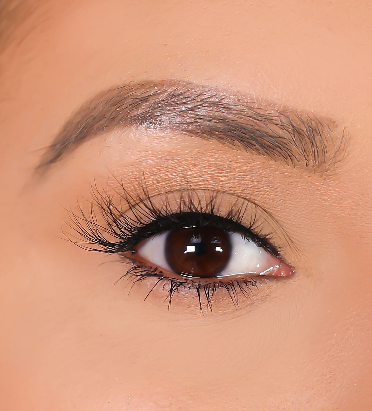 3D Mink Eyelashes - Serina from False Eyelashes
