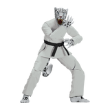 Zoo Jitsu Fighters Shadow 'Ice' the Snow Leopard Action Figure from Icon Heroes