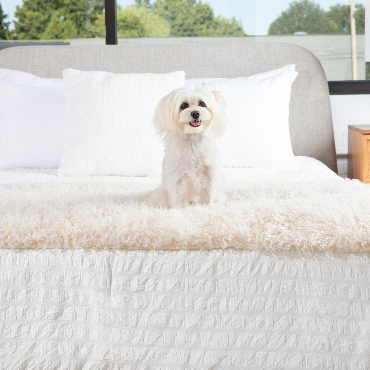 PupProtector™ Luxe Waterproof Bed Runner - Plush Sheep Ivory from Paw.com