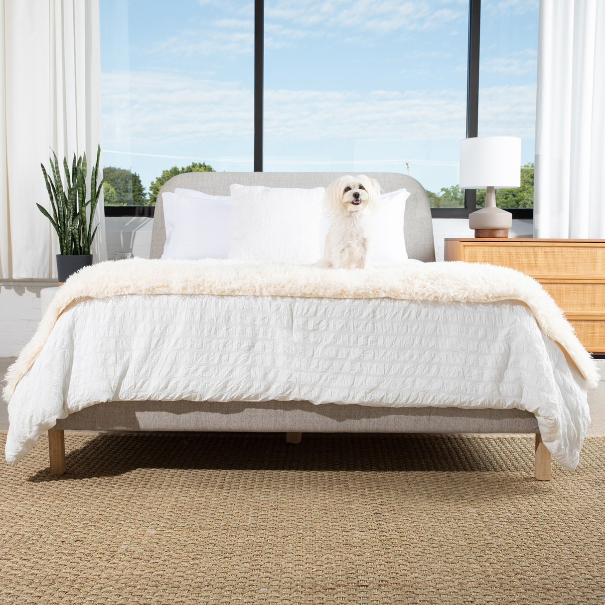 PupProtector™ Luxe Waterproof Bed Runner - Plush Sheep Ivory from Paw.com