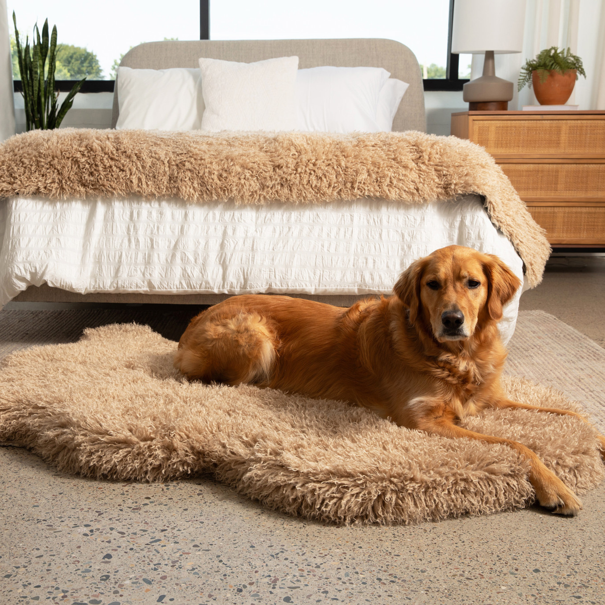 PupRug™ Luxe Faux Fur Orthopedic Dog Bed -  Plush Sheep Tan from Paw.com
