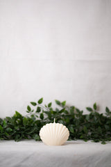Shell Candle Collection from Shop Restyled