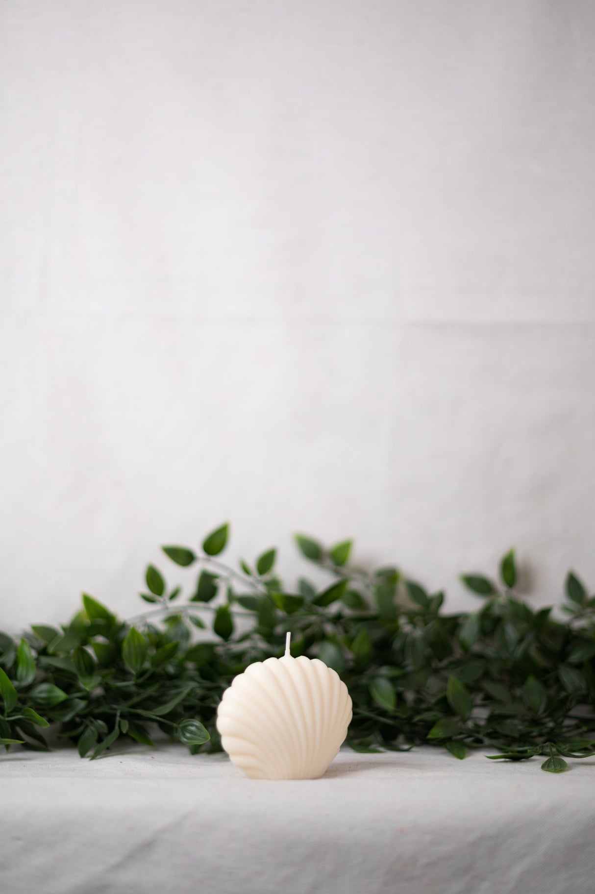 Shell Candle Collection from Shop Restyled