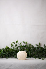 Shell Candle Collection from Shop Restyled