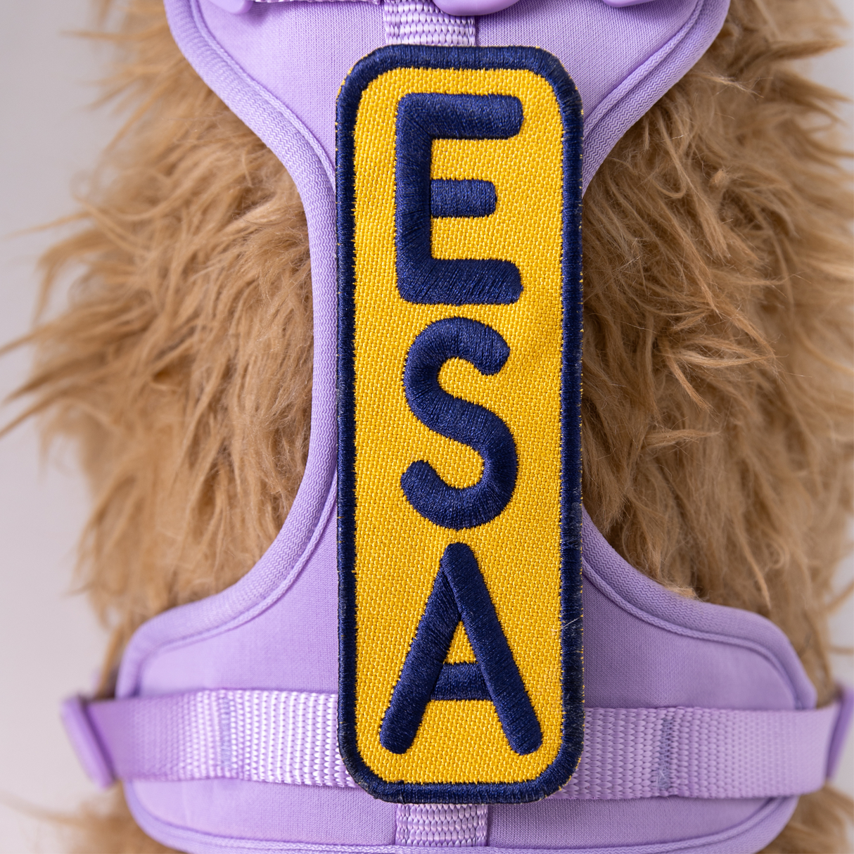 ESA 2x6 Patch from K9 Sport Sack