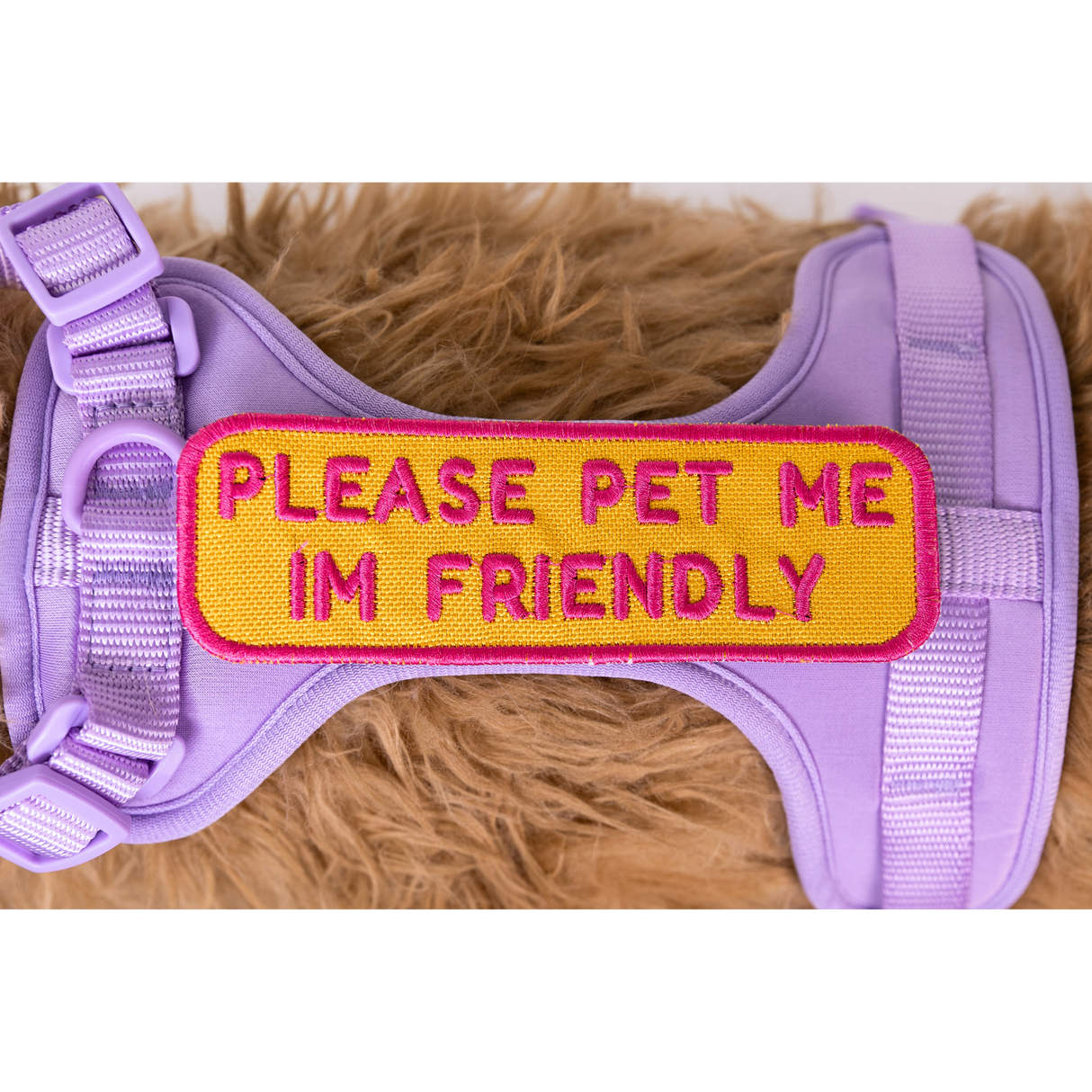 Please Pet Me Patch from K9 Sport Sack