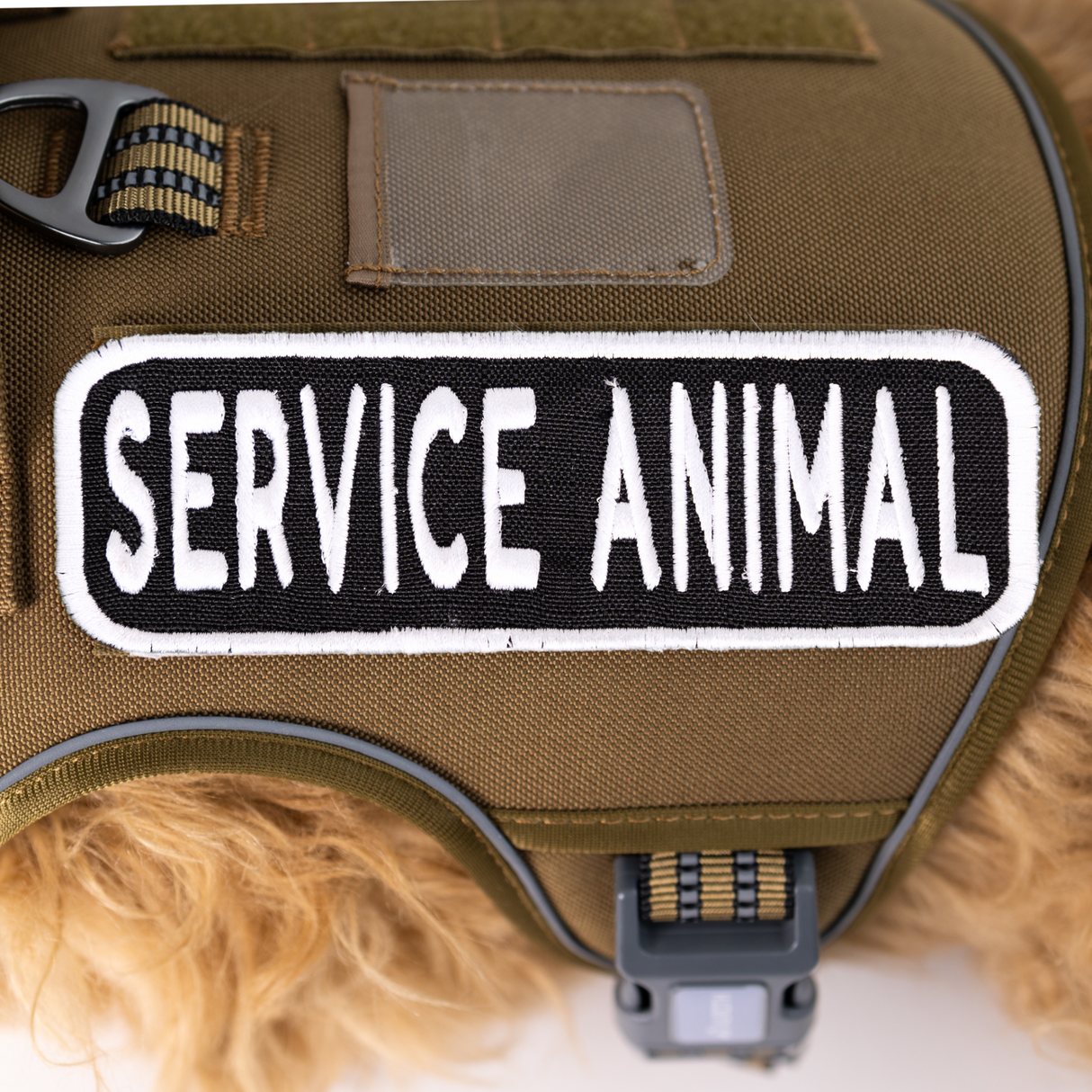 Service Animal 2x6 Patch from K9 Sport Sack