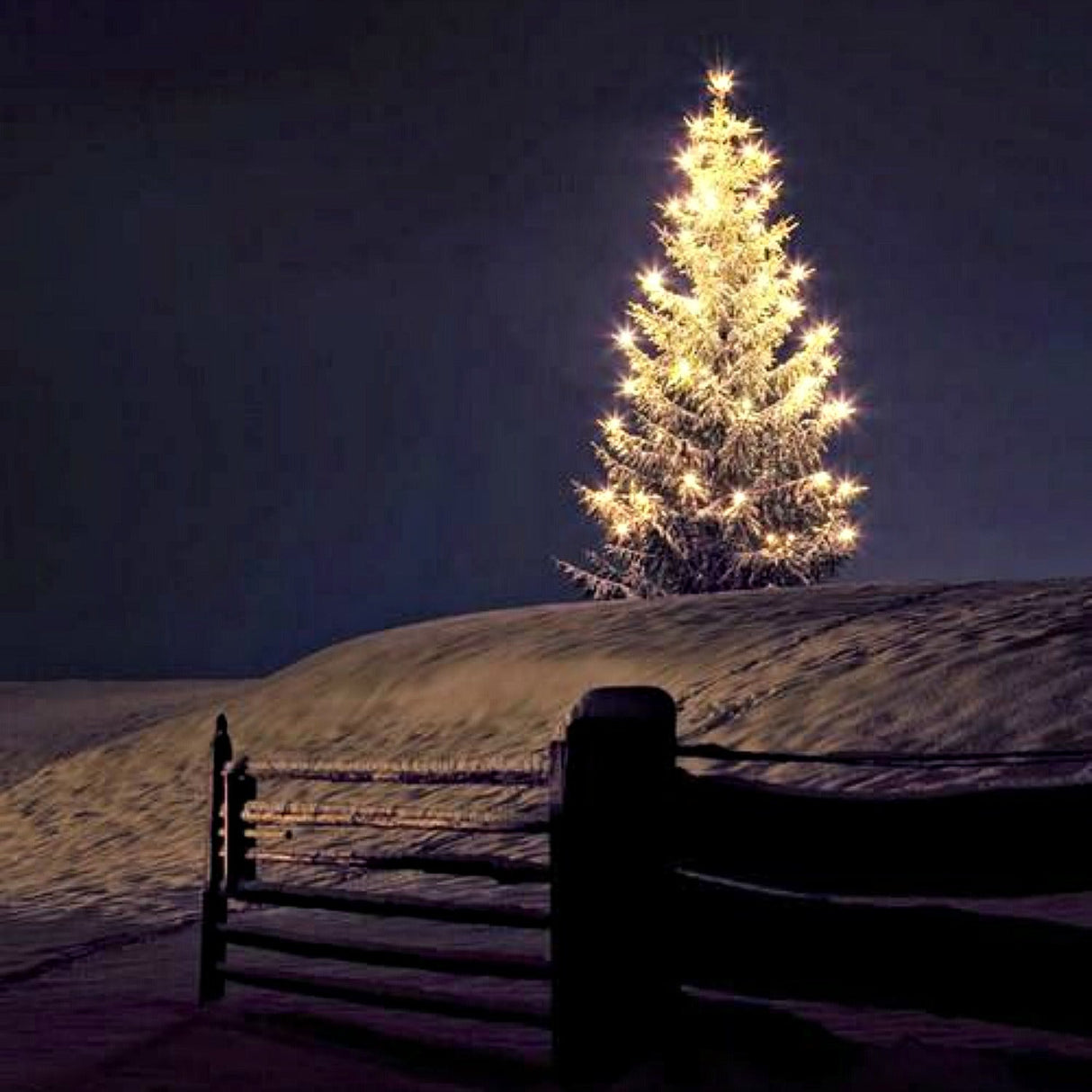 Silent Night from Wicked Good Perfume
