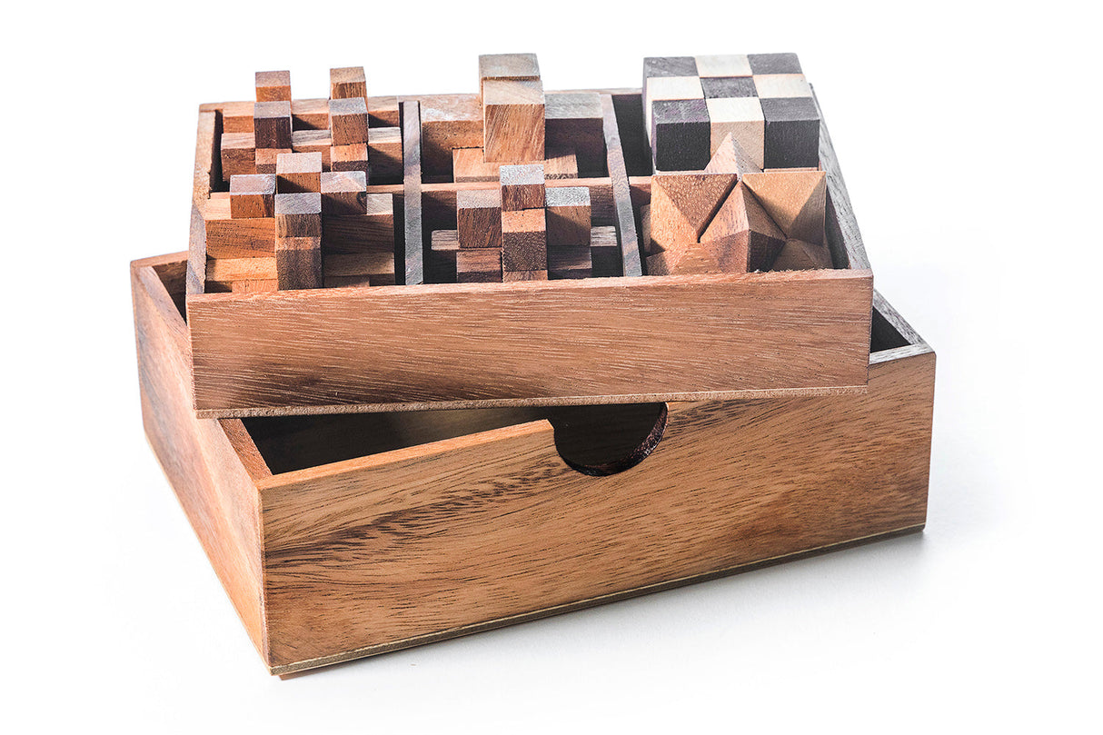 6 STEM Puzzle Gift Set - Wooden Puzzle Brain Teaser from Kubiya Games