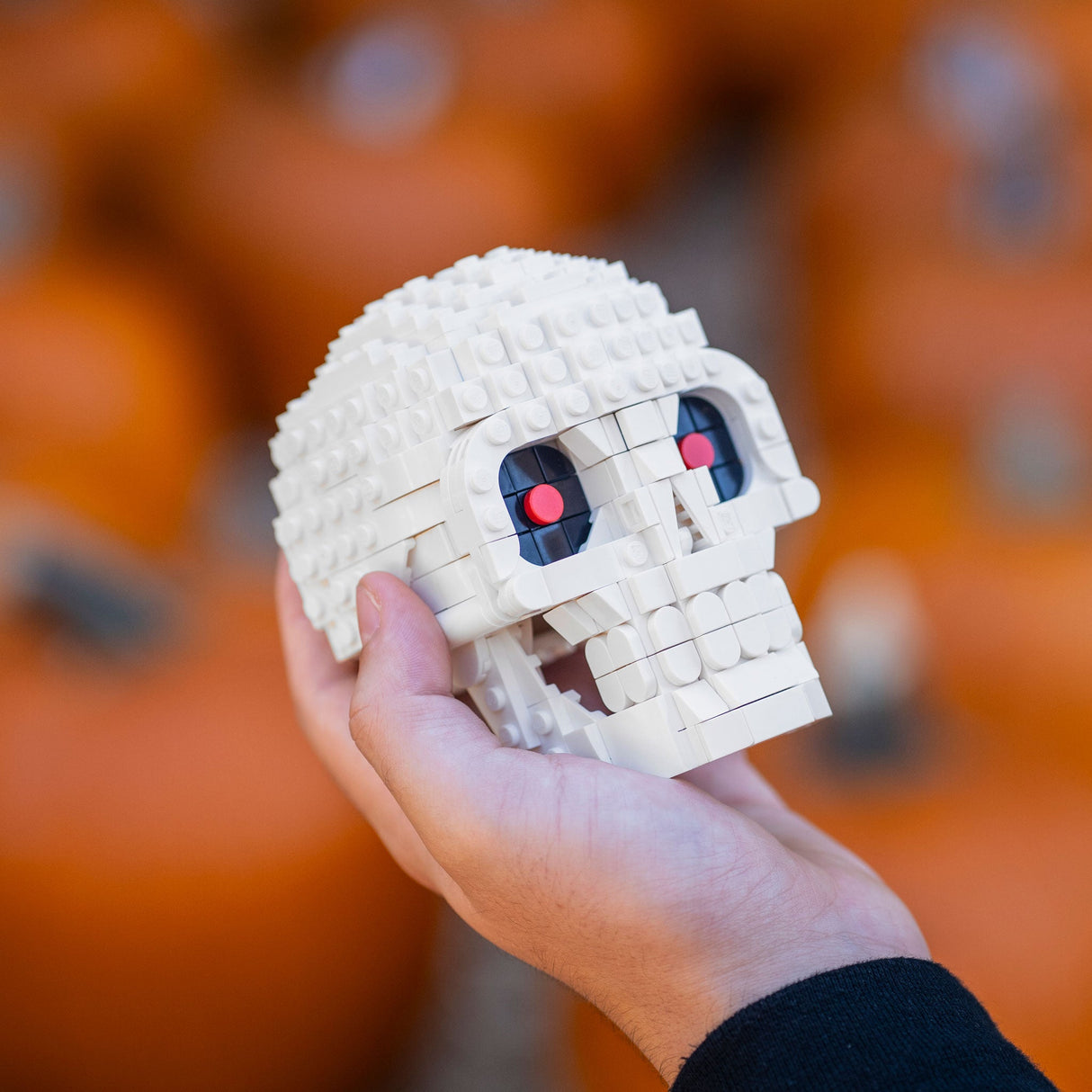 Skull from Bricker Builds