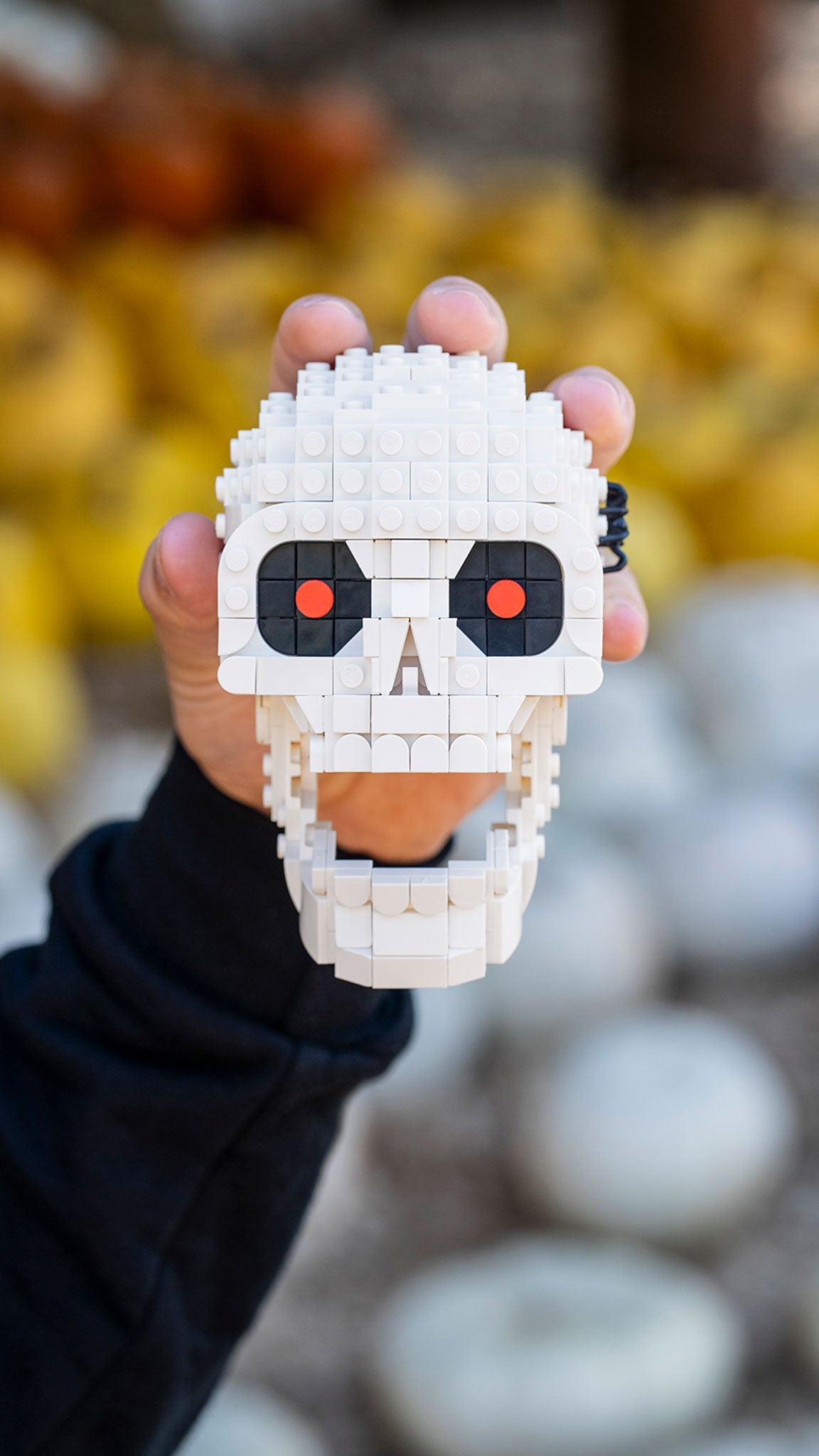 Skull from Bricker Builds
